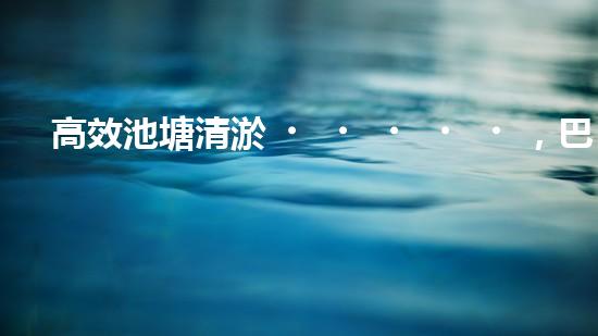 高效池塘清淤，巴洛仕設(shè)備助您一臂之力